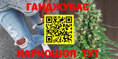 гидра Беслан