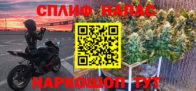 гидра Беслан