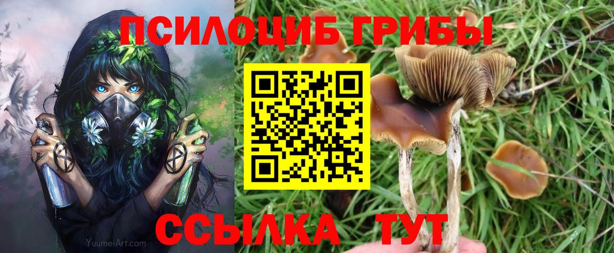 Галлюциногенные грибы MAGIC MUSHROOMS  Галлюциногенные грибы мухоморы  Киселёвск  Вход с VPN 